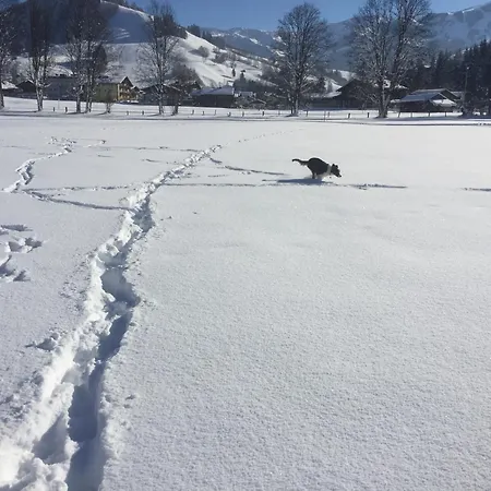 公寓 Large Spacious Apartment, 50m To The Lift! *