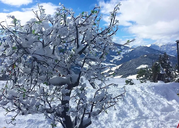 Apartman Large Spacious Apartment, 50m To The Lift!